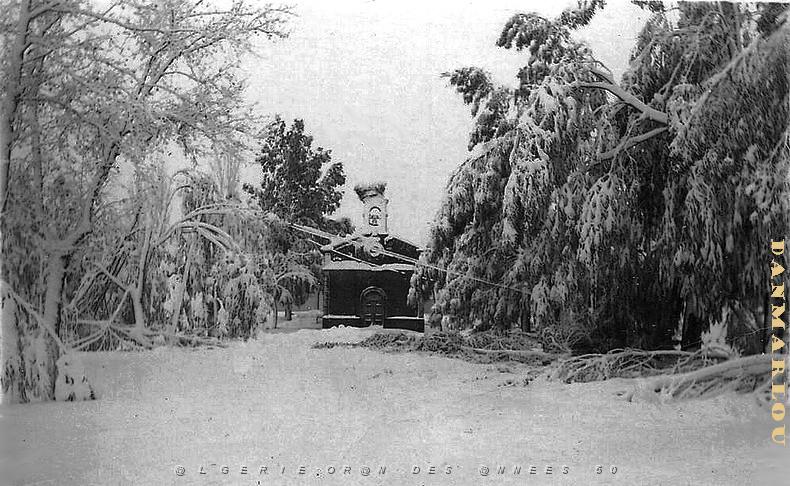 NAZEREG FLINOIS COMMUNE DE SAIDA 2.jpg